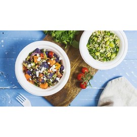 PRISTINE ENTERPRISE PAPER BOWLS PACK of 50 BIODEGRADABLE DISPOSABLE White 12oz/340m Bagasse Compostable Bowls Eco-Friendly for Party Picnic Bbq