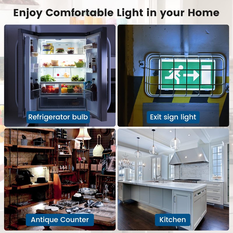 Luxvista Dimmable T6.5 E17 LED Appliance Bulb - 4W LED