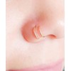 MODRSA MODRSA Double Hoop Nose Rings - Gold Surgical Steel
