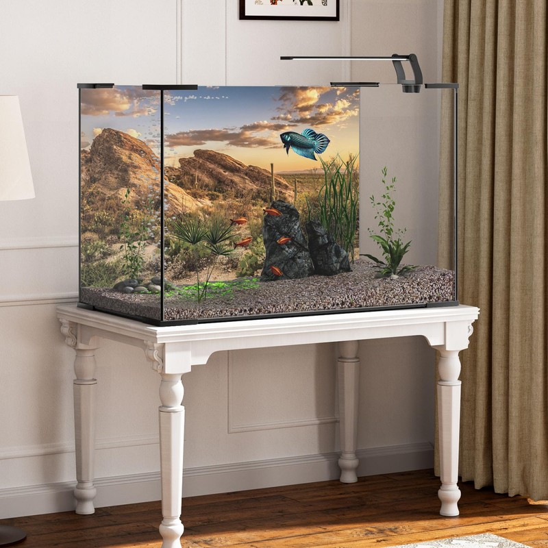 MIRRORANG 120x61cm Reptile Habitat Background Blue Sky Oasis Cactus Sun