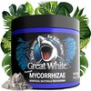 Great White Mycorrhizal Fungi, Beneficial Bacteria for Plant Growth, Root