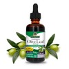 Nature's Answer Nature's Answer Alcohol-Free Oleopein Olive Leaf, 2-Fluid Ounces