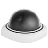 BW Indoor/Outdoor Dummy Camera, Dummy Dome CCTV Camera Fake Security