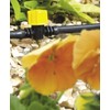 HOZELOCK - Micro Irrigation Flow Control Valves ø 4mm :