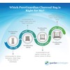 PureGuardian CB200 Bamboo Charcoal Air Purifying Bag, Eco-Friendly, Naturally Absorbs
