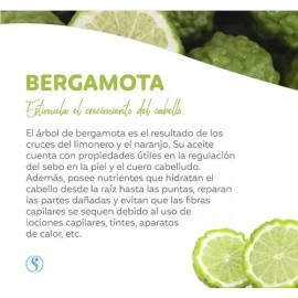 Kit Sí Tónico Sheló Nabel Capilar reparación - 4 packs de 1 unidad de 60mL