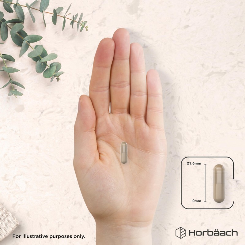 Mullein Leaf Extract 25,000mg | Max Strength Formula for Men