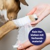 Canosept Wundgel für Hunde 20ml - Wundsalbe Hund - Reinigung