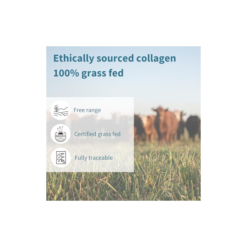 Igennus Healthcare Nutrition Igennus 100% Grass Fed Bovine Collagen, Advanced