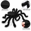 Spider Costume for Cats & Small Dogs – Black Halloween