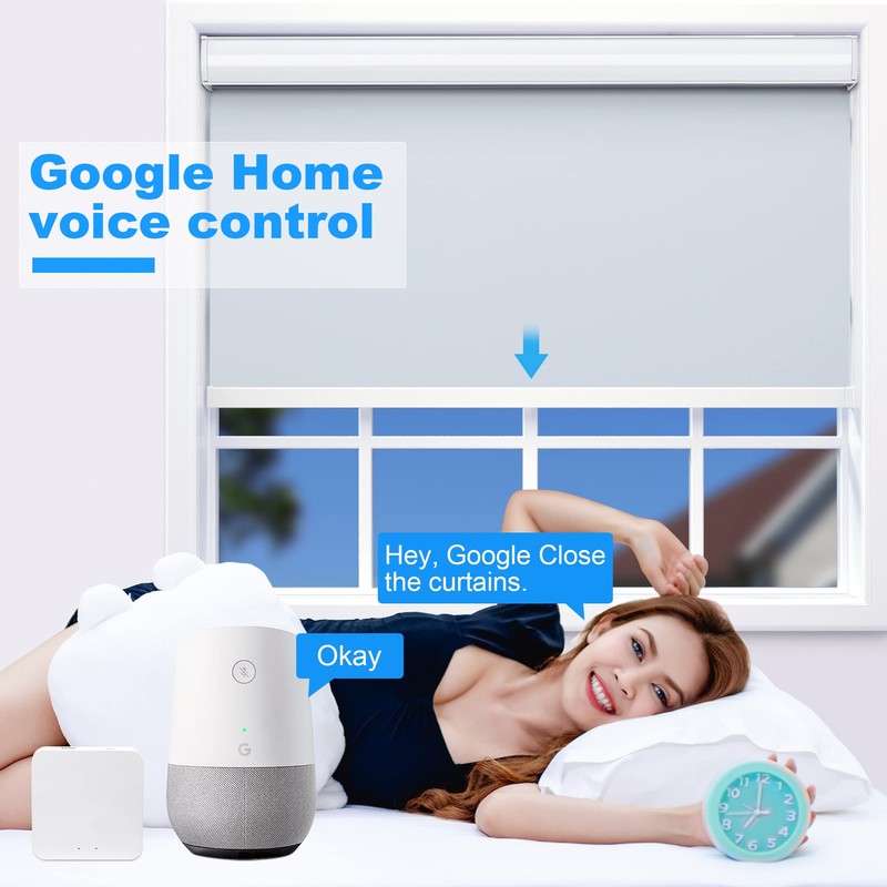 JaeJaes Smart Zigbee Hub for JaeJaes Motorized Shades, Work for