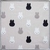 Okato Miffy Microfiber Dish Towel, Antibacterial, Odor Resistant, 3 Pieces,