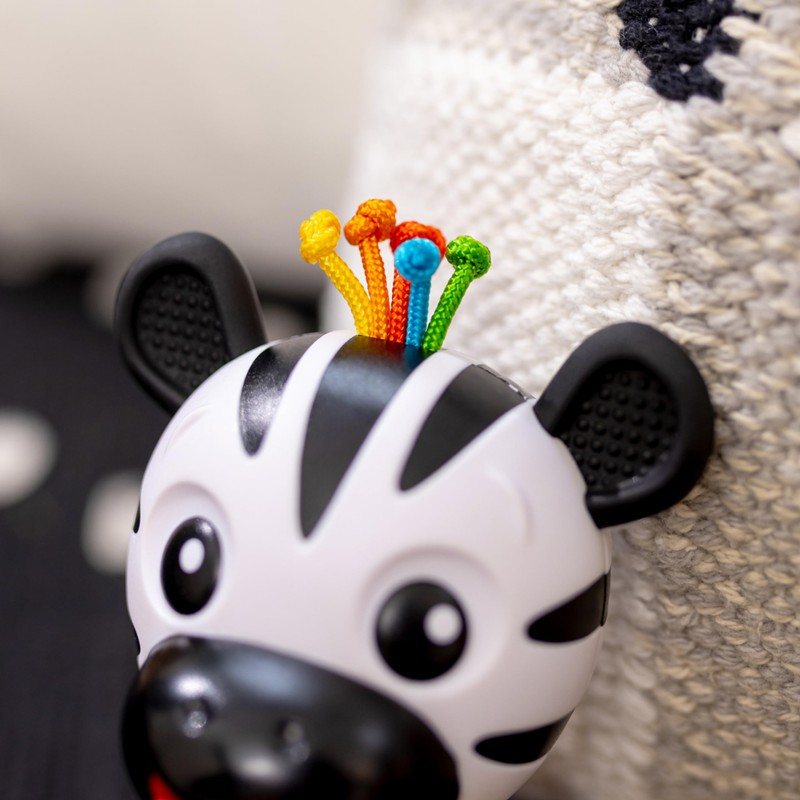 Baby Einstein Shake-a-Shape Zen Teether Toy, Multisensory, Ages 3 Months