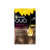 Garnier Olia Permanent Hair Dye, Ammonia-Free Hair Color, 6.0 Light