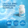 Wellsgoing Zinc Carnosine 75mg – Gut Lining & Stomach Support