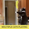 EujRcf 7 Piece Cat Toys for Indoor Cats, Interactive Kitten