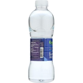 EVAMOR Artesian Water, 32 Fl Oz (Pack of 12)