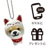 LamPlanning Traveling Mameshiba Key Holder, Mascot, Ball Chain, Back Charm,