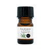 100% Natural Eucalyptus Globbles Oil 5ml Aroma Oil Eucalyptus