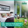 CHOMP! Travel Size Bed Bug & Insect Repellent, Natural, TSA