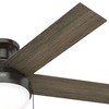 Hunter Fan 52 inch Low Profile Noble Bronze Indoor Ceiling