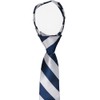 tiemart Boys' Zipper Ties (14 inch, Navy Blue and Silver