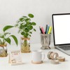 Plant Propagation Station Glass Planter Terrariums with Wooden Lid