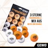 GEWO 3 Star Handy Pack of 12 Table Tennis Balls,