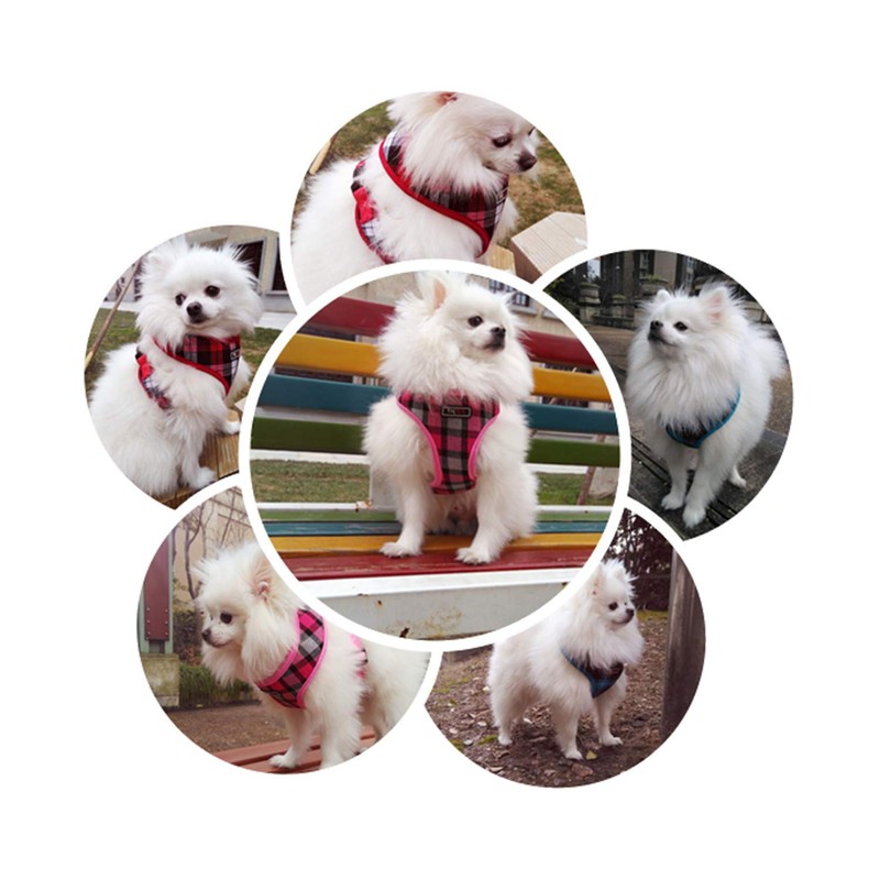 THAIN Dog Harness, Small Dog Harness, Check, Dog Harness, Cute,