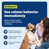 PetSafe Dog Muzzle - Large, Black - Comfortable Padding -