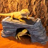REPTI ZOO Large Bearded Dragon Basking Platform, 12.5x7x5 inch Gecko