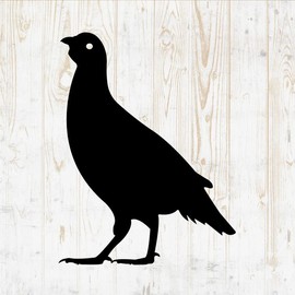 Birds Decals Peel and Stick - Wall Vinyl Decals Stickers - Wild Birds Flying Sparrow Flock Parrot Pigeon Raven Duck Goose Silhouette - Car Window Truck Laptop Tumbler - Nursery Room Decor DWSV14457