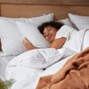 Three Geese White Goose Feather Cotton Pillows Queen Size Set