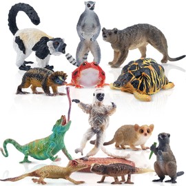 toymany 12PCS Madagascar Animal Figurines, Realistic Forest Animals Figures, Jungle Zoo Animal Figure Set Includes Lemur Tortoise Chameleon Verreaux's Sifaka, Christmas Birthday Gift Collection Toy