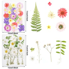 DXGSHSA 136pcs Dried Pressed Flowers for Resin Crafts, Real Dry Floral, Assorted Natural Bulk for DIY Art Crafts Scrapbooking Epoxy Jewelry Molds Nails Décor Candle Soap Making