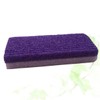 PACKOVE 1pc Foot Scrubber and Pumice for Exfoliating Dead Skin