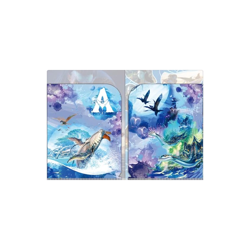 abata way of water pocket file w pocket clear file