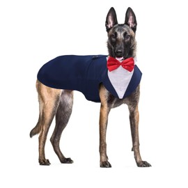 Pet Dog Tuxedo Suit Formal Wedding Shirt,Dog Costume with Bow Tie for Small Medium Large Breeds,Prince Suit with Detachable Bowtie Collar Bandana,Party Dress-up Cosplay Holiday Wear for Boy Dogs