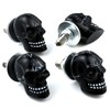 Bashineng Skull License Plate Screw 4 Pack Universal Cars Truck