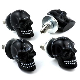 Bashineng Skull License Plate Screw 4 Pack Universal Cars Truck Motorcycle License Plate Frames Bolts Fasteners Trim Replacement Kit (Black)