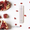 Cotril Creative Walk Hydra Hydrating and anti-oxidizing Shampoo 300ml