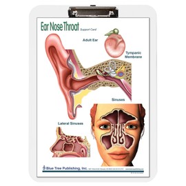 Ear Nose and Throat Insert Clipboard