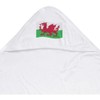 Azeeda 'Waving Welsh Flag' Baby Hooded Towel (HT00026178)