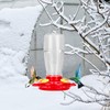 2 in 1 Heated Hummingbird Feeder for Outdoor, 66℉ Constant