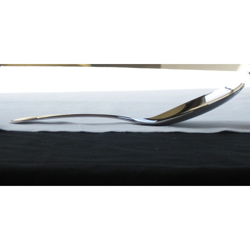 Nagao Tsubamesanjo Serving Spoon Serving Fork Set, 18-8 Stainless Steel,