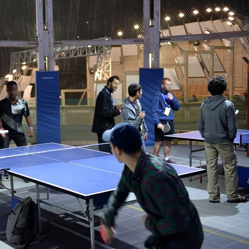 6 Star Ping Pong Paddles, 7-Ply Blade, Premium Rubber, Advanced