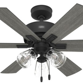 Hunter Fan 44 Inch Matte Black Ceiling Fan with Light, Reversible and WhisperWind motor, Modern Ceiling Fan with 6 Blades for Bedroom, Living Room, Kitchen (Renewed)