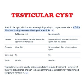 Organico Herbal para hombres machos  -  Made in USA - 100% Natural formula