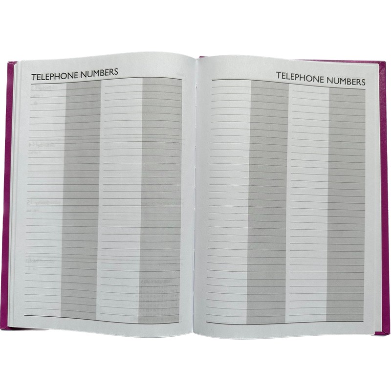 2025 diary A5 Day to a Page - PINK