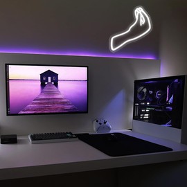 Allball Italian Gesture Neon Sign, USB Powered Dimmable LED Neon Light, for Italian Bar Kitchen Foodie Restaurant Cultural Wall Decor Minimalist Bedroom Light Wall Decor(12.9 * 12.2 In)